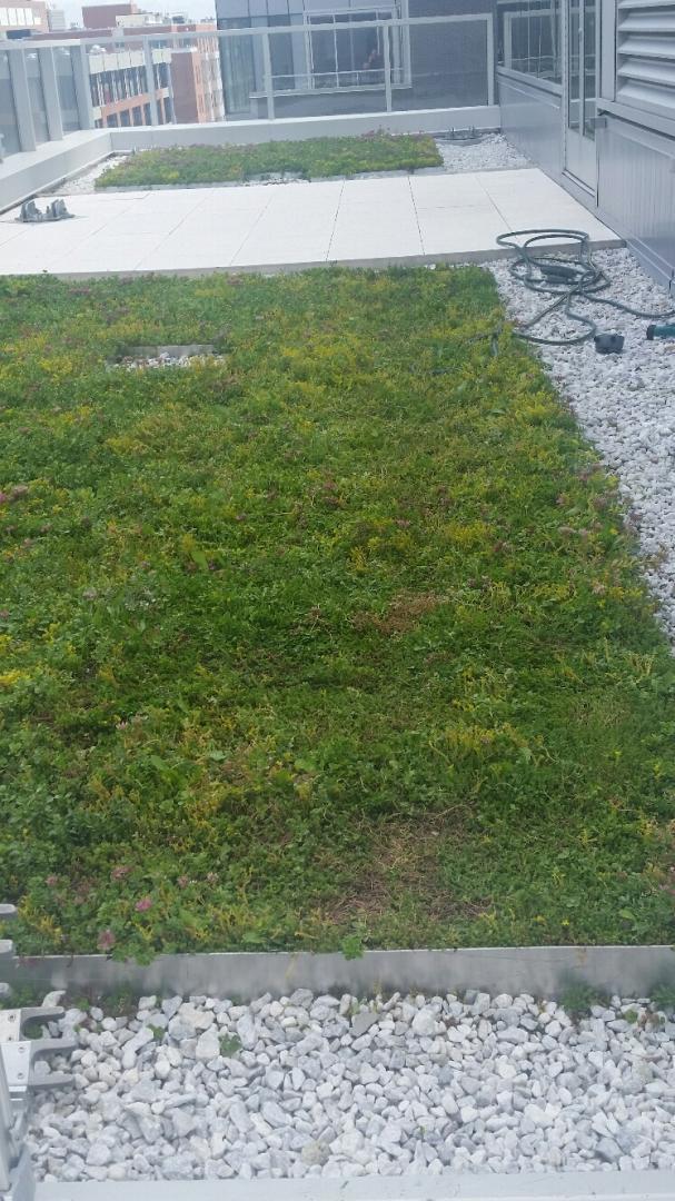 Réparation dalle de béton Montréal