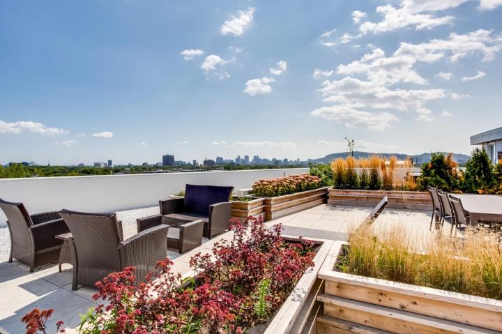 Remplacement de drains français Montréal